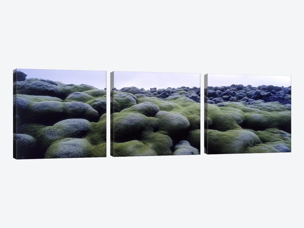 Close-Up Of Moss-Covered Lava Rocks, Iceland by Panoramic Images 3-piece Canvas Art