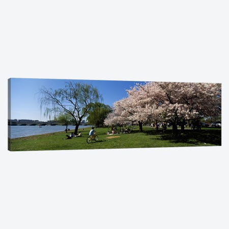 Group of people in a garden, Cherry Blossom, Washington DC, USA Canvas Print #PIM5459} by Panoramic Images Canvas Print