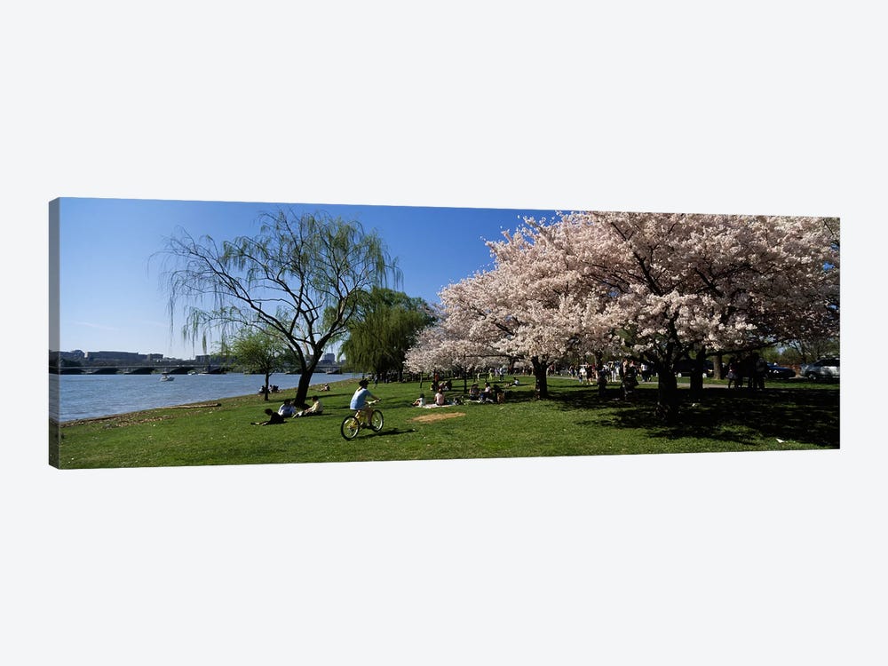Group of people in a garden, Cherry Blossom, Washington DC, USA by Panoramic Images 1-piece Art Print
