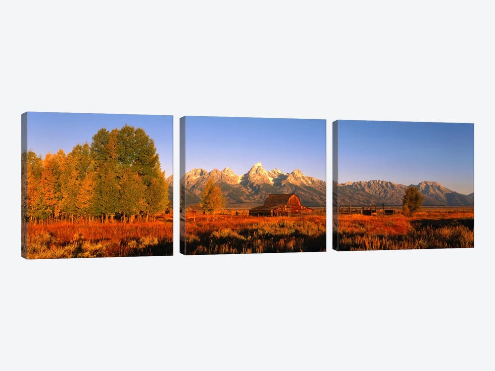 Sunrise Grand Teton National Park WY USA by Panoramic Images 3-piece Art Print