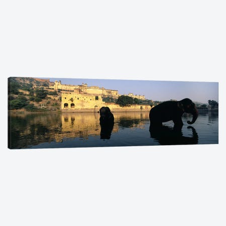 Silhouette of two elephants in a river, Amber Fort, Jaipur, Rajasthan, India Canvas Print #PIM5467} by Panoramic Images Canvas Art Print