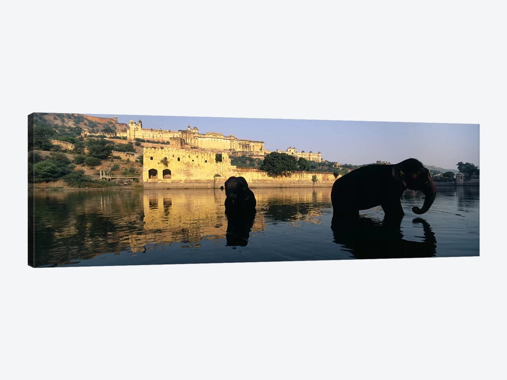 Silhouette of two elephants in a river, Amber Fort, Jaipur, Rajasthan, India by Panoramic Images 1-piece Canvas Art