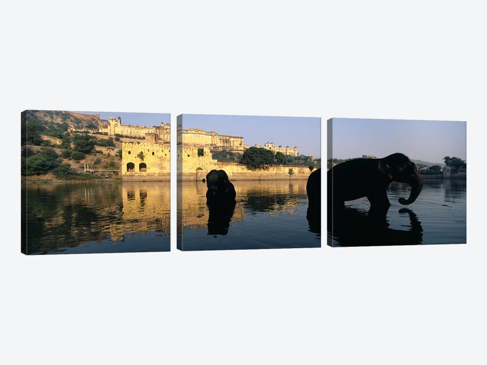 Silhouette of two elephants in a river, Amber Fort, Jaipur, Rajasthan, India by Panoramic Images 3-piece Canvas Wall Art