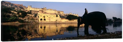 Side profile of a man sitting on an elephant, Amber Fort, Jaipur, Rajasthan, India Canvas Art Print - Asia Art