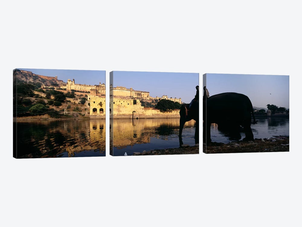 Side profile of a man sitting on an elephant, Amber Fort, Jaipur, Rajasthan, India by Panoramic Images 3-piece Canvas Wall Art