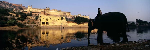 India: Side profile of a man sitting on an elephant, Amber Fort, Jaipur, Rajasthan, India by Panoramic Images