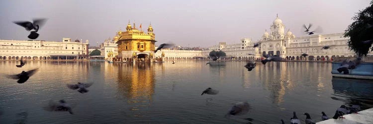 Reflection of a temple in a lake, Golden Temple, Amritsar, Punjab, India