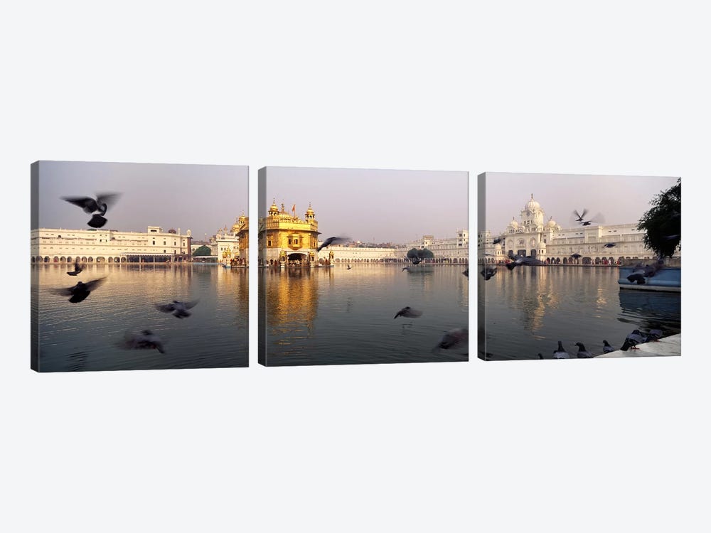 Reflection of a temple in a lake, Golden Temple, Amritsar, Punjab, India by Panoramic Images 3-piece Art Print