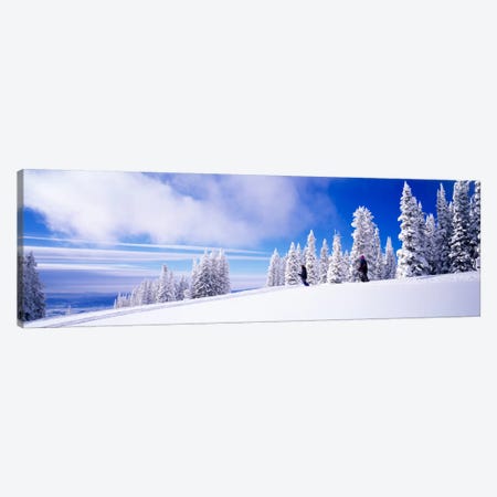 Steamboat Springs, Colorado, USA Canvas Print #PIM553} by Panoramic Images Canvas Art