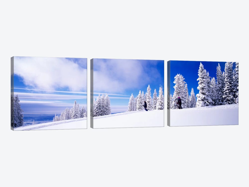 Steamboat Springs, Colorado, USA by Panoramic Images 3-piece Canvas Art
