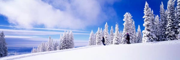 Skiing: Steamboat Springs, Colorado, USA by Panoramic Images