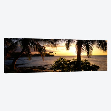 Kohala Coast, Hawaii, USA Canvas Print #PIM554} by Panoramic Images Canvas Print