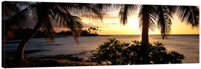 Kohala Coast, Hawaii, USA Canvas Art Print - Sunrises & Sunsets Scenic Photography