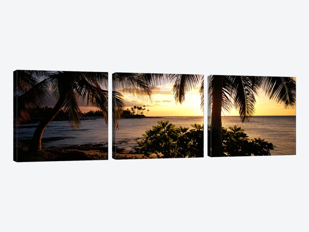 Kohala Coast, Hawaii, USA by Panoramic Images 3-piece Art Print