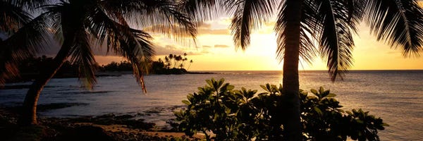 Hawaii: Kohala Coast, Hawaii, USA by Panoramic Images