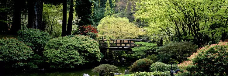 Panoramic view of a garden, Japanese Garden, Washington Park, Portland, Oregon