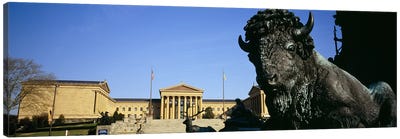 Close-Up Of A Buffalo, Washington Monument, Eakins Oval, Philadelphia, Pennsylvania, USA Canvas Art Print - Philadelphia Art