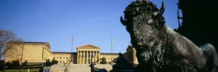 Close-Up Of A Buffalo, Washington Monument, Eakins Oval, Philadelphia, Pennsylvania, USA