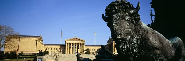 Close-Up Of A Buffalo, Washington Monument, Eakins Oval, Philadelphia, Pennsylvania, USA