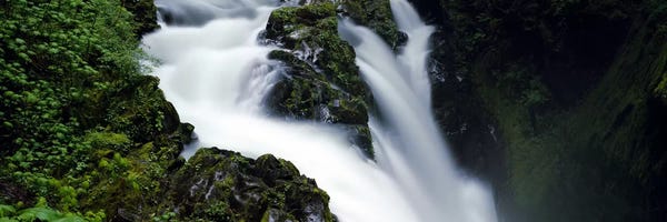 Moss: High angle view of a waterfall, Sol Duc Falls, Olympic National Park, Washington State, USA by Panoramic Images