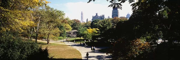 Central Park: High angle view of a group of people walking in a park, Central Park, Manhattan, New York City, New York State, USA by Panoramic Images
