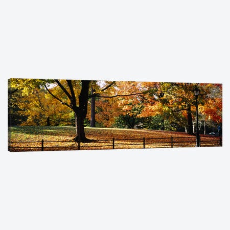 Trees in a forest, Central Park, Manhattan, New York City, New York, USA Canvas Print #PIM5595} by Panoramic Images Art Print
