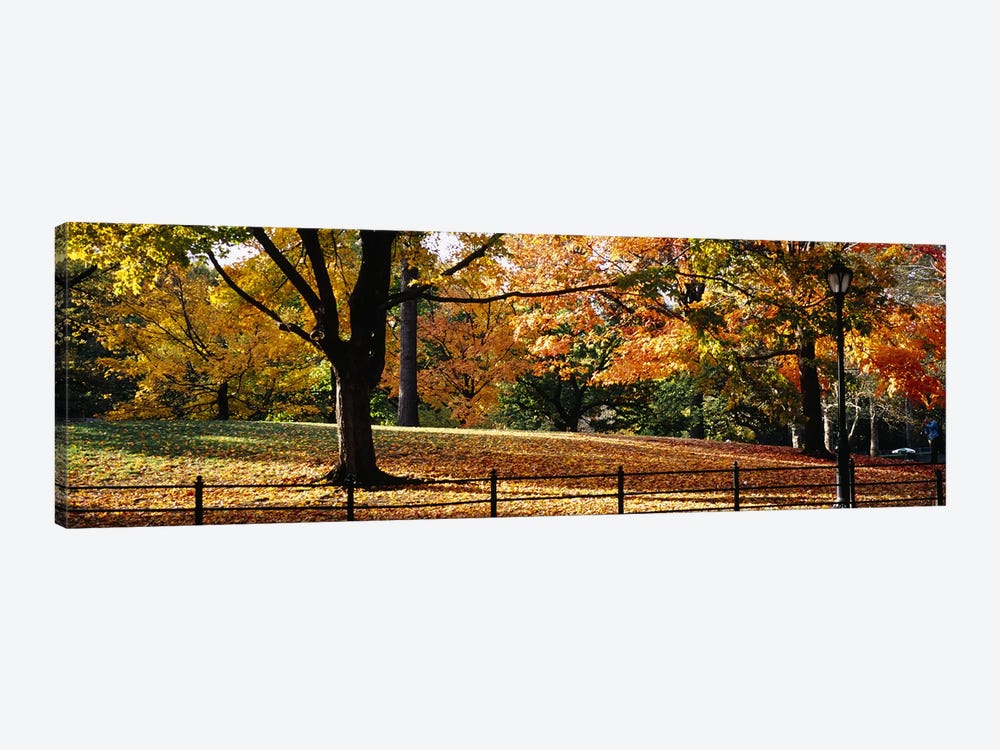 Trees in a forest, Central Park, Manhattan, New York City, New York, USA by Panoramic Images 1-piece Canvas Artwork