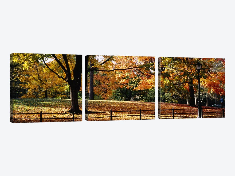 Trees in a forest, Central Park, Manhattan, New York City, New York, USA by Panoramic Images 3-piece Canvas Wall Art