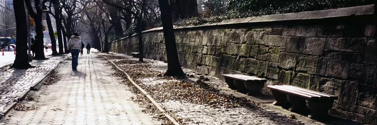 Rear view of a woman walking on a walkway, Central Park, Manhattan, New York City, New York, USA