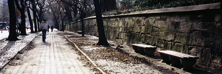 Rear view of a woman walking on a walkway, Central Park, Manhattan, New York City, New York, USA by Panoramic Images wall art