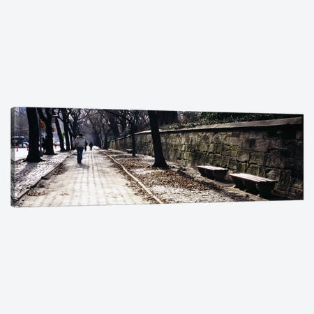 Rear view of a woman walking on a walkway, Central Park, Manhattan, New York City, New York, USA Canvas Print #PIM5597} by Panoramic Images Art Print