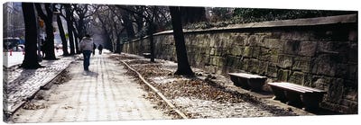 Rear view of a woman walking on a walkway, Central Park, Manhattan, New York City, New York, USA Canvas Art Print - People Art