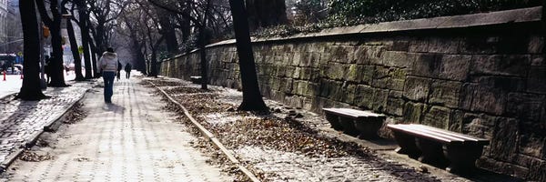 Central Park: Rear view of a woman walking on a walkway, Central Park, Manhattan, New York City, New York, USA by Panoramic Images