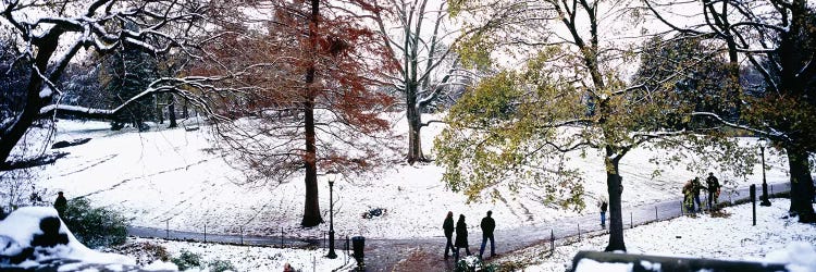 High angle view of a group of people in a park, Central Park, Manhattan, New York City, New York, USA