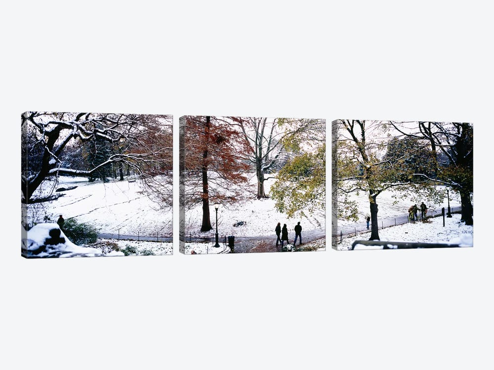 High angle view of a group of people in a park, Central Park, Manhattan, New York City, New York, USA by Panoramic Images 3-piece Canvas Print
