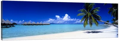 Bora Bora South Pacific Canvas Art Print - Panoramic Photography