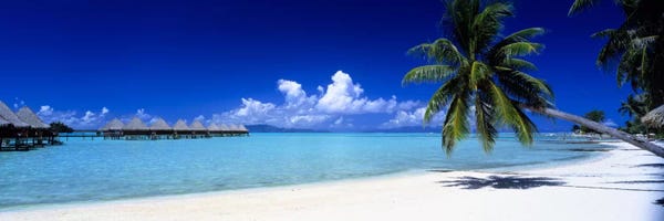 Large Photography - Canvas Prints: Bora Bora South Pacific by Panoramic Images
