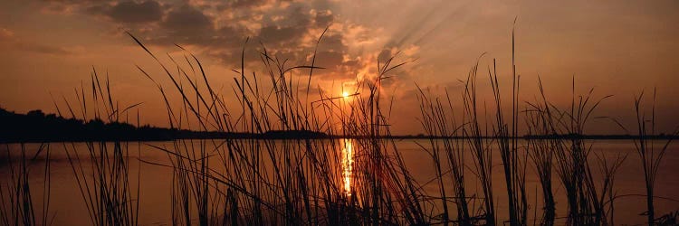 Sunset over a lake, Lake Travis, Austin, Texas by Panoramic Images wall art