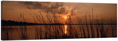 Sunset over a lake, Lake Travis, Austin, Texas Canvas Art Print - Lake & Ocean Sunrise & Sunset Art