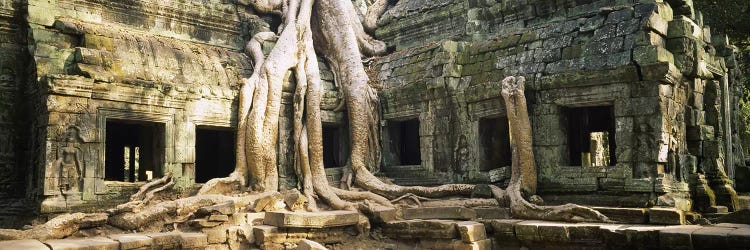 Old ruins of a building, Angkor Wat, Cambodia by Panoramic Images wall art