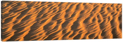 Wind blown Sand TX USA Canvas Art Print - Desert Landscape Photography