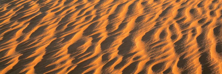 Wind blown Sand TX USA