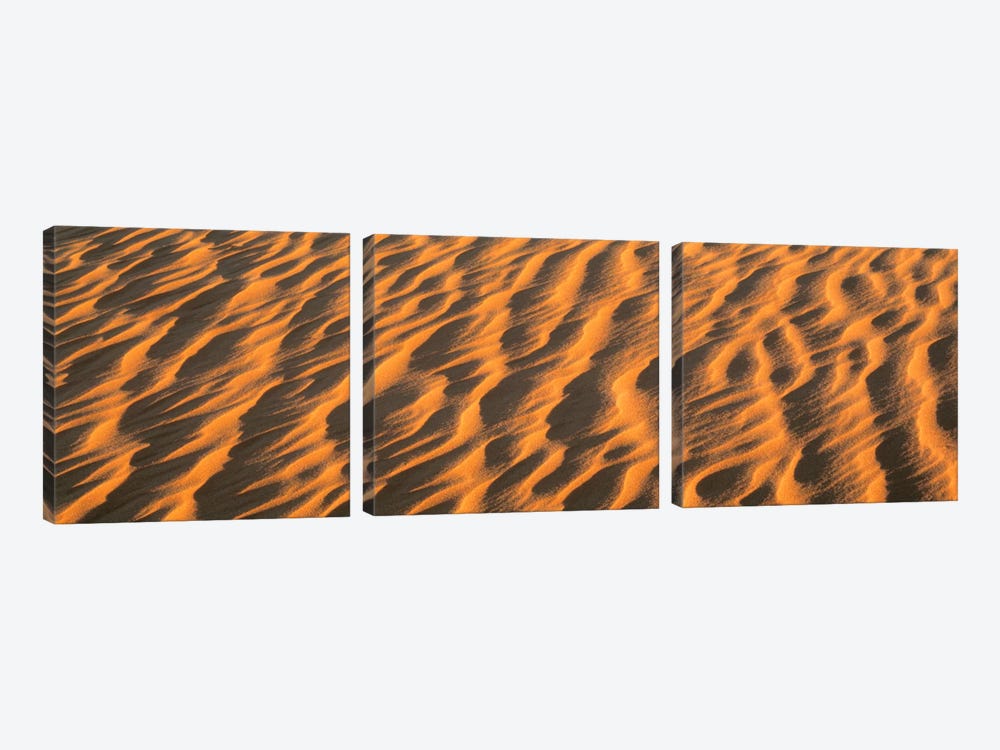 Wind blown Sand TX USA by Panoramic Images 3-piece Canvas Wall Art