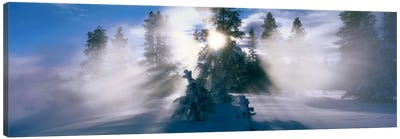 West Thumb Geyser Basin Yellowstone National Park WY Canvas Art Print - Panoramic Photography