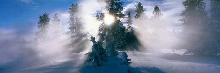 West Thumb Geyser Basin Yellowstone National Park WY