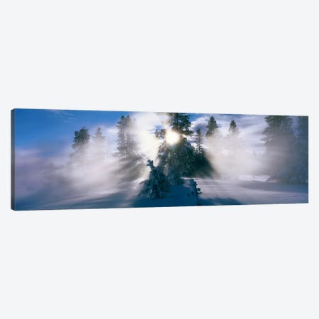 West Thumb Geyser Basin Yellowstone National Park WY Canvas Print #PIM568} by Panoramic Images Canvas Art Print