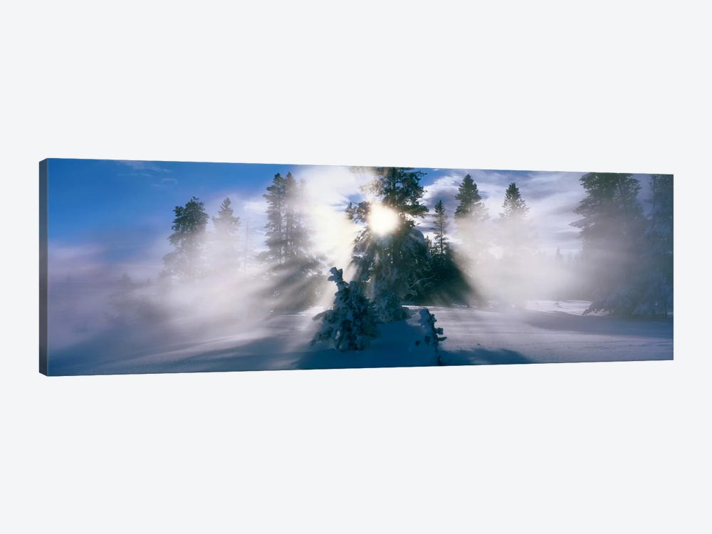 West Thumb Geyser Basin Yellowstone National Park WY by Panoramic Images 1-piece Canvas Artwork