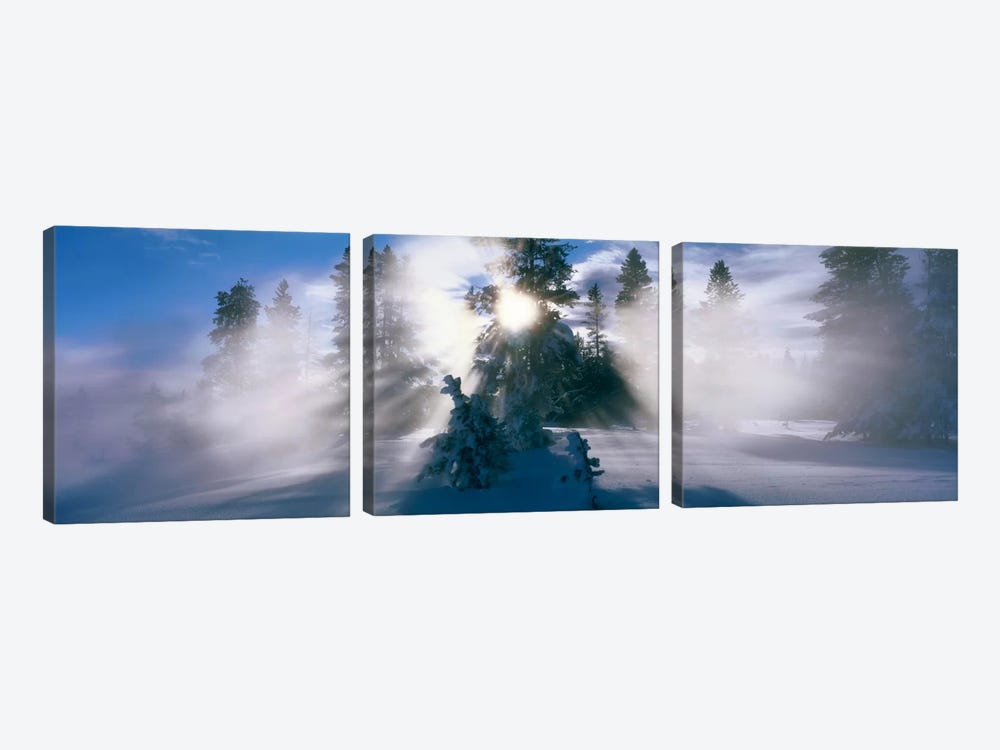 West Thumb Geyser Basin Yellowstone National Park WY by Panoramic Images 3-piece Canvas Wall Art