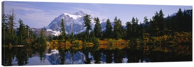 Reflection of trees and Mountains in a Lake, Mount Shuksan, North Cascades National Park, Washington State, USA Canvas Art Print - Panoramic Photography