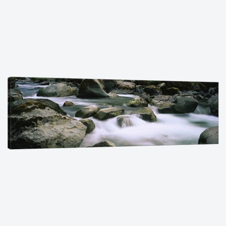 River flowing through rocksSkokomish River, Olympic National Park, Washington State, USA Canvas Print #PIM5755} by Panoramic Images Canvas Art Print